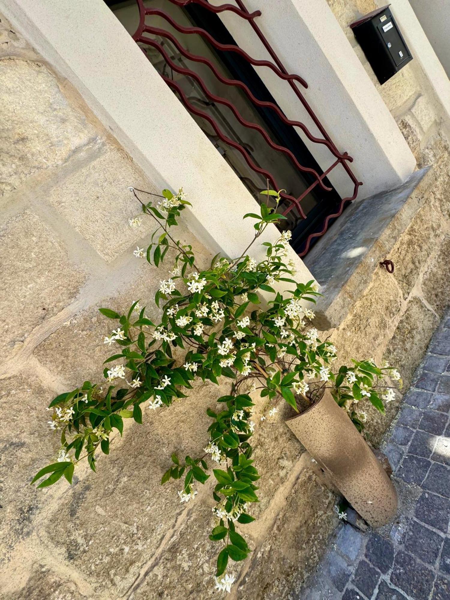 Maison De Village Renovee ! 르그로뒤후아 외부 사진